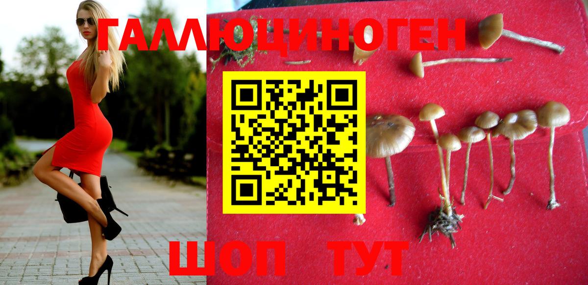 Магадан  Псилоцибиновые грибы Psilocybe  Вход с VPN 